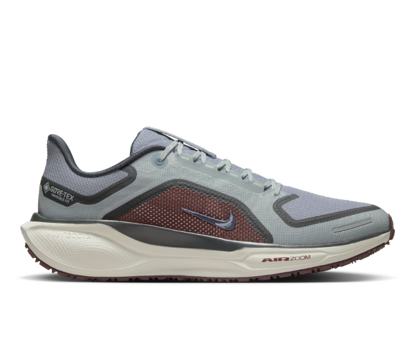Nike Men Pegasus 41 GTX 003 - Pumice/Slate